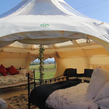 Tal-Y-Fan Farm 6M Stargazer Tent Bridgend  Exteriér fotografie